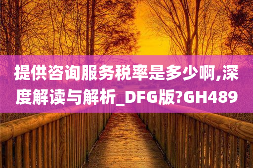 提供咨询服务税率是多少啊,深度解读与解析_DFG版?GH489