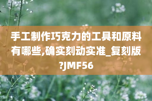 手工制作巧克力的工具和原料有哪些,确实刻动实准_复刻版?JMF56