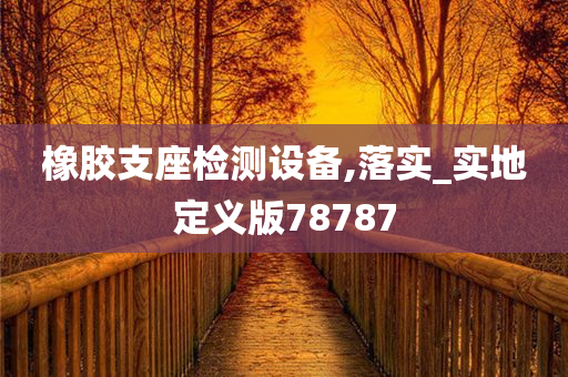 橡胶支座检测设备,落实_实地定义版78787
