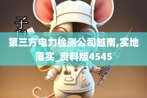 第三方电力检测公司越南,实地落实_资料版4545