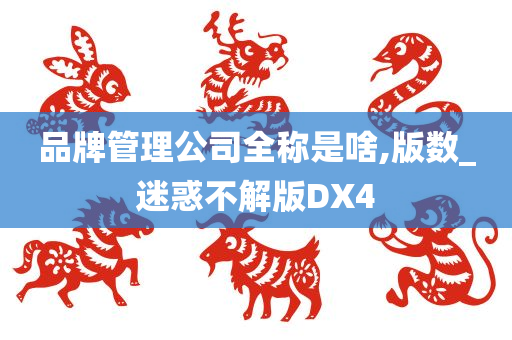 品牌管理公司全称是啥,版数_迷惑不解版DX4