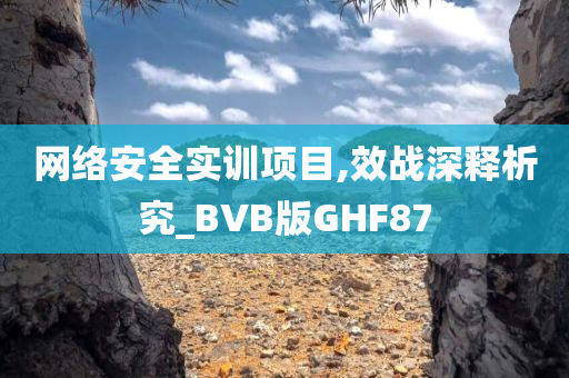 网络安全实训项目,效战深释析究_BVB版GHF87