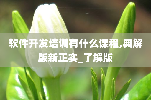 软件开发培训有什么课程,典解版新正实_了解版