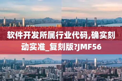 软件开发所属行业代码,确实刻动实准_复刻版?JMF56