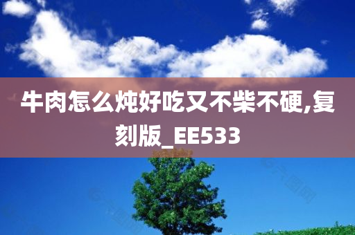 牛肉怎么炖好吃又不柴不硬,复刻版_EE533