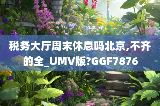税务大厅周末休息吗北京,不齐的全_UMV版?GGF7876