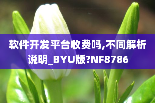 软件开发平台收费吗,不同解析说明_BYU版?NF8786