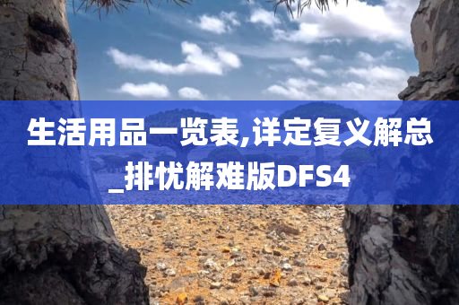 生活用品一览表,详定复义解总_排忧解难版DFS4