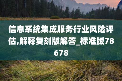信息系统集成服务行业风险评估,解释复刻版解答_标准版78678