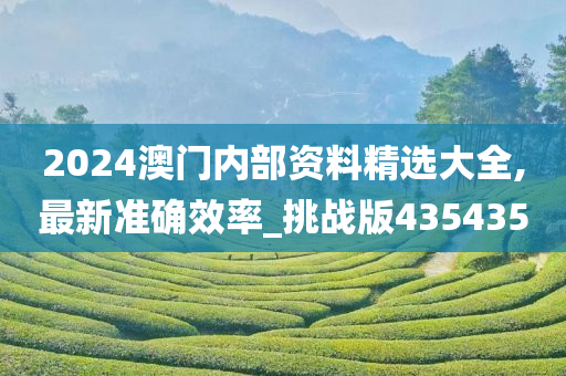 2024澳门内部资料精选大全,最新准确效率_挑战版435435