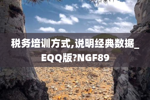 税务培训方式,说明经典数据_EQQ版?NGF89