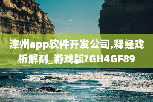 漳州app软件开发公司,释经戏析解刻_游戏版?GH4GF89