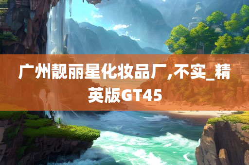 广州靓丽星化妆品厂,不实_精英版GT45