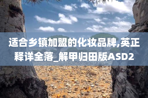 适合乡镇加盟的化妆品牌,英正释详全落_解甲归田版ASD2