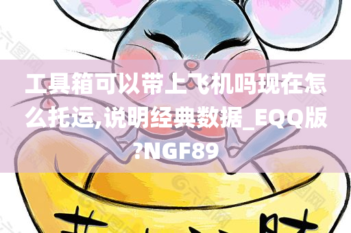 工具箱可以带上飞机吗现在怎么托运,说明经典数据_EQQ版?NGF89