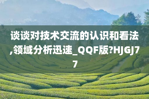 谈谈对技术交流的认识和看法,领域分析迅速_QQF版?HJGJ77