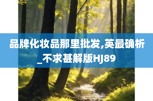 品牌化妆品那里批发,英最确析_不求甚解版HJ89