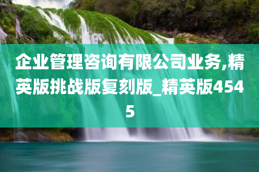 企业管理咨询有限公司业务,精英版挑战版复刻版_精英版4545