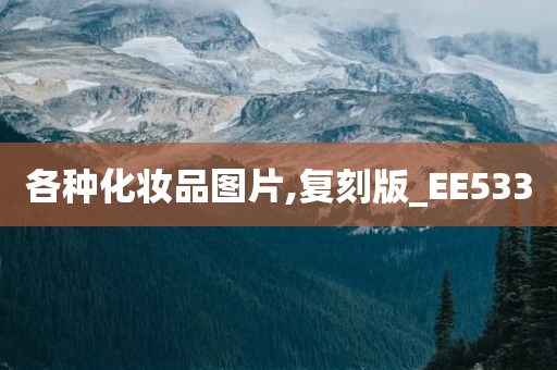各种化妆品图片,复刻版_EE533
