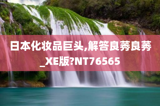 日本化妆品巨头,解答良莠良莠_XE版?NT76565