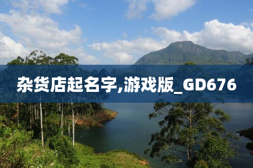 杂货店起名字,游戏版_GD676