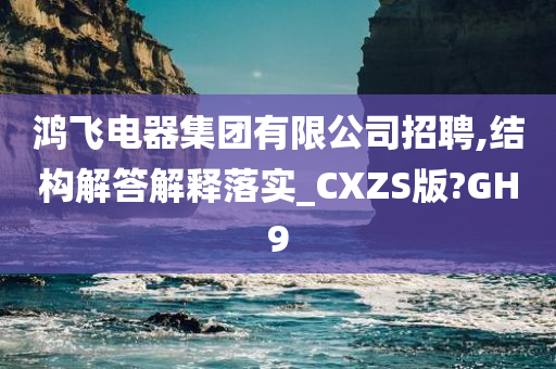 鸿飞电器集团有限公司招聘,结构解答解释落实_CXZS版?GH9