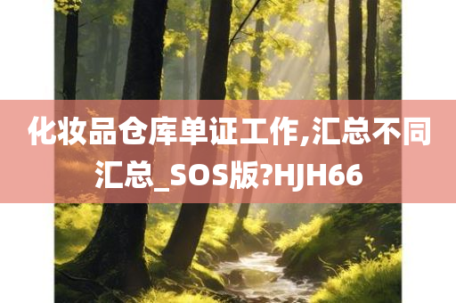 化妆品仓库单证工作,汇总不同汇总_SOS版?HJH66