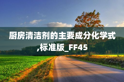 厨房清洁剂的主要成分化学式,标准版_FF45
