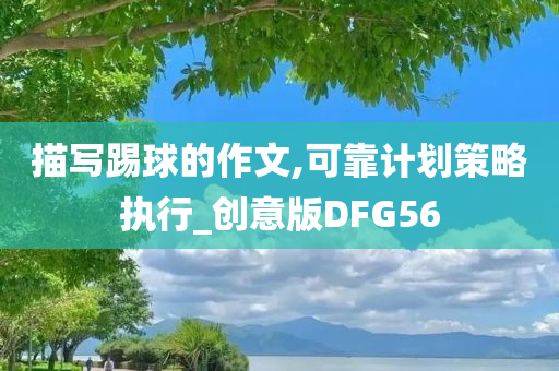 描写踢球的作文,可靠计划策略执行_创意版DFG56