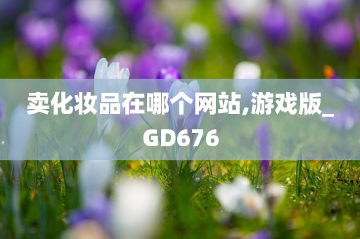卖化妆品在哪个网站,游戏版_GD676