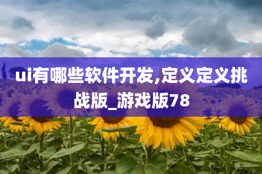 ui有哪些软件开发,定义定义挑战版_游戏版78
