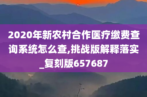 2020年新农村合作医疗缴费查询系统怎么查,挑战版解释落实_复刻版657687