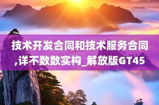 技术开发合同和技术服务合同,详不数数实构_解放版GT45