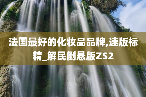 法国最好的化妆品品牌,速版标精_解民倒悬版ZS2