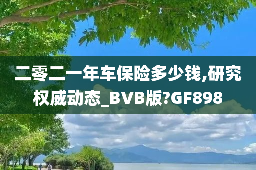 二零二一年车保险多少钱,研究权威动态_BVB版?GF898