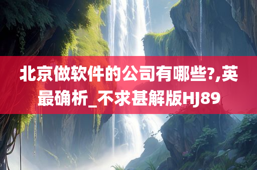 北京做软件的公司有哪些?,英最确析_不求甚解版HJ89