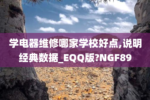 学电器维修哪家学校好点,说明经典数据_EQQ版?NGF89