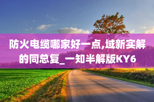防火电缆哪家好一点,域新实解的同总复_一知半解版KY6