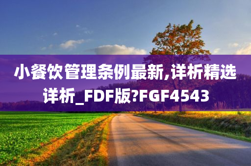 小餐饮管理条例最新,详析精选详析_FDF版?FGF4543