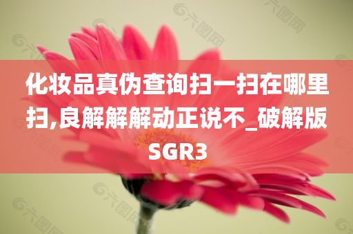 chenjiayi 第49页