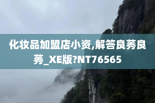化妆品加盟店小资,解答良莠良莠_XE版?NT76565