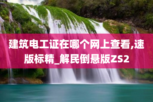 建筑电工证在哪个网上查看,速版标精_解民倒悬版ZS2