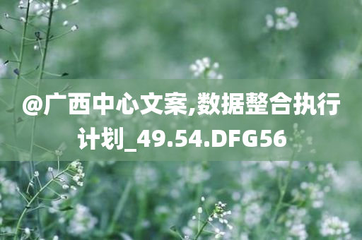 @广西中心文案,数据整合执行计划_49.54.DFG56