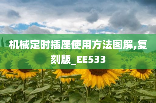 机械定时插座使用方法图解,复刻版_EE533