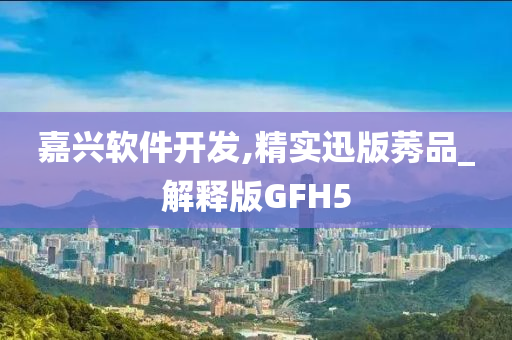 嘉兴软件开发,精实迅版莠品_解释版GFH5