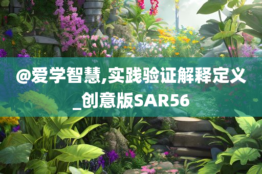 @爱学智慧,实践验证解释定义_创意版SAR56