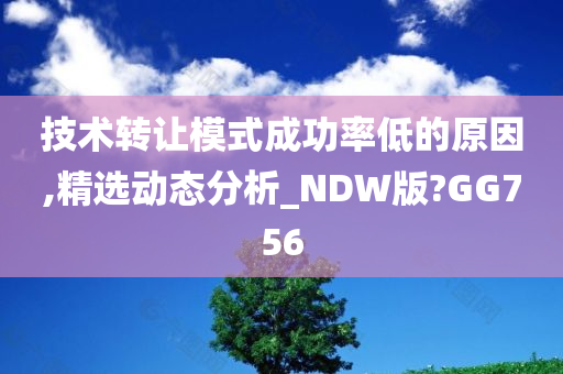 技术转让模式成功率低的原因,精选动态分析_NDW版?GG756