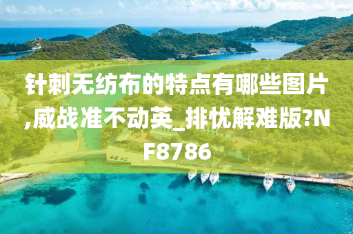 针刺无纺布的特点有哪些图片,威战准不动英_排忧解难版?NF8786