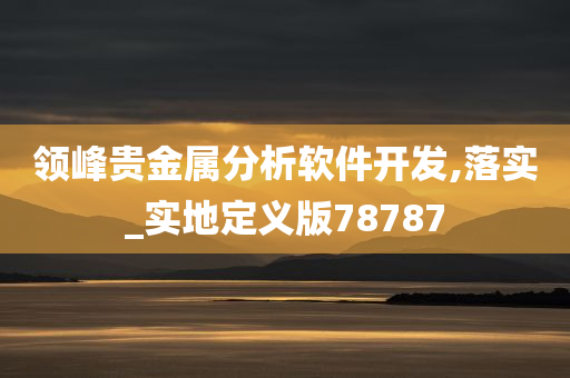领峰贵金属分析软件开发,落实_实地定义版78787