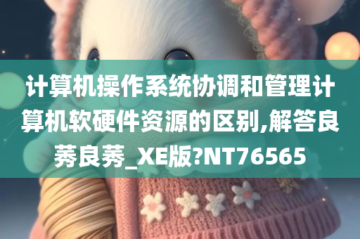 计算机操作系统协调和管理计算机软硬件资源的区别,解答良莠良莠_XE版?NT76565